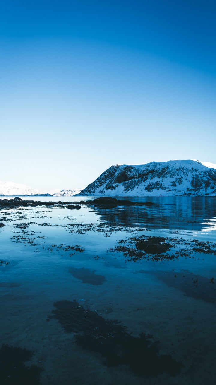 Обои ледник, Северный Ледовитый океан, ледниковое озеро, синий, природа в разрешении 720x1280