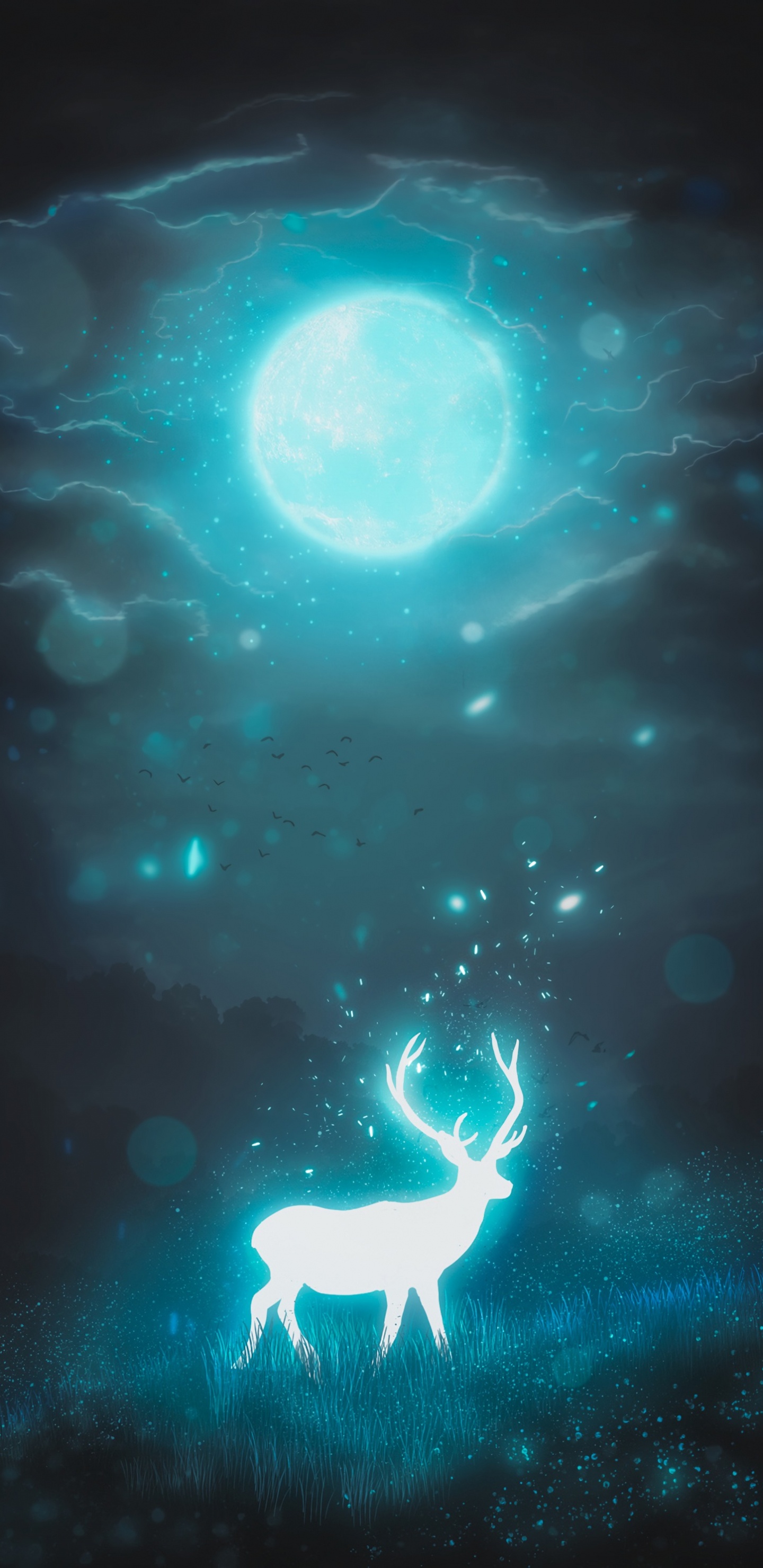 Обои иллюстрация, свет, Аква, бирюза, атмосфера в разрешении 1440x2960