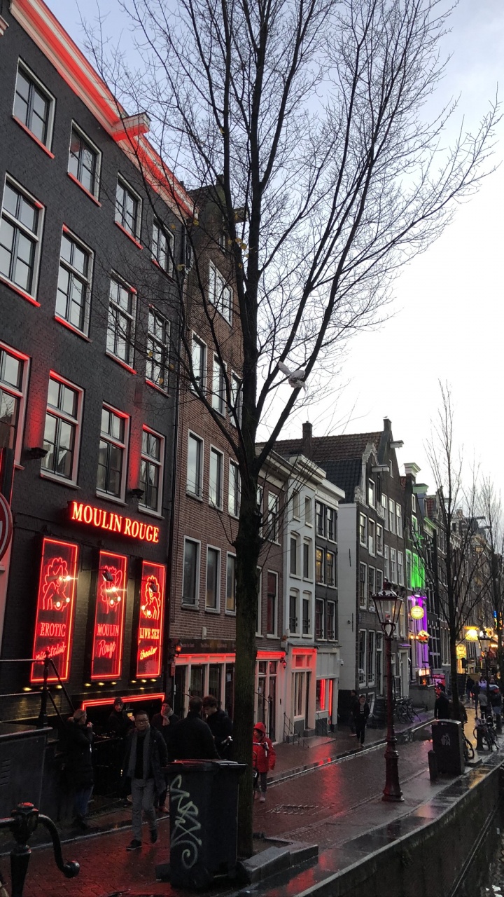 Обои Амстердам, улица, окно, городок, соседство в разрешении 720x1280