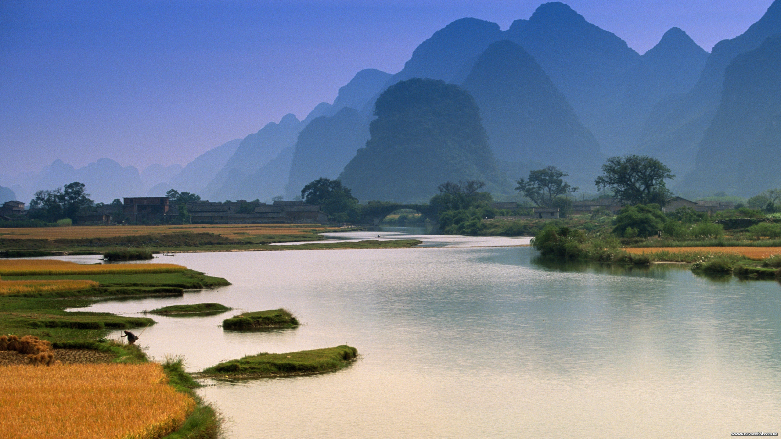 Обои природа, гидроресурсы, отражение, телевидение, растительность в разрешении 2560x1440