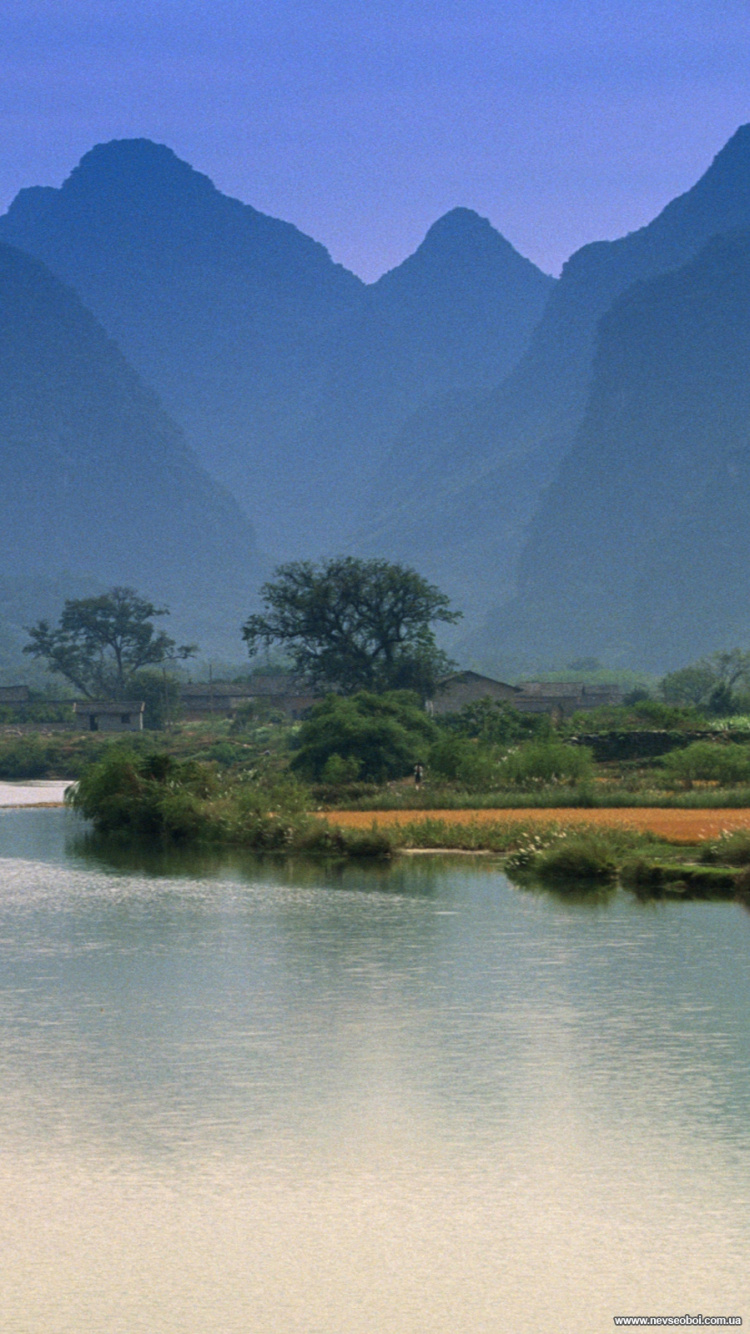 Обои природа, гидроресурсы, отражение, телевидение, растительность в разрешении 750x1334