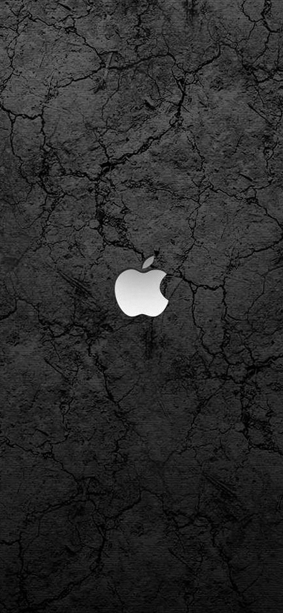 Обои apple, черный, свет, дерево, темнота в разрешении 1125x2436