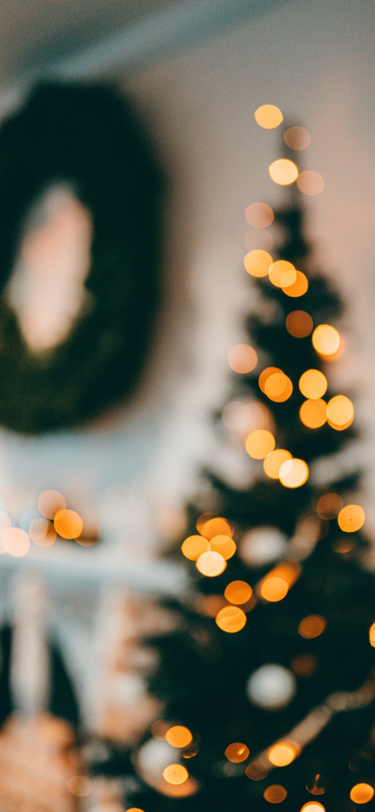 Обои Новый год, Рождество, солнечный свет, свет, растение в разрешении 1242x2688