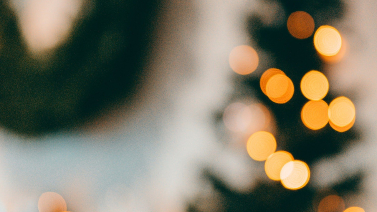 Обои Новый год, Рождество, солнечный свет, свет, растение в разрешении 1280x720