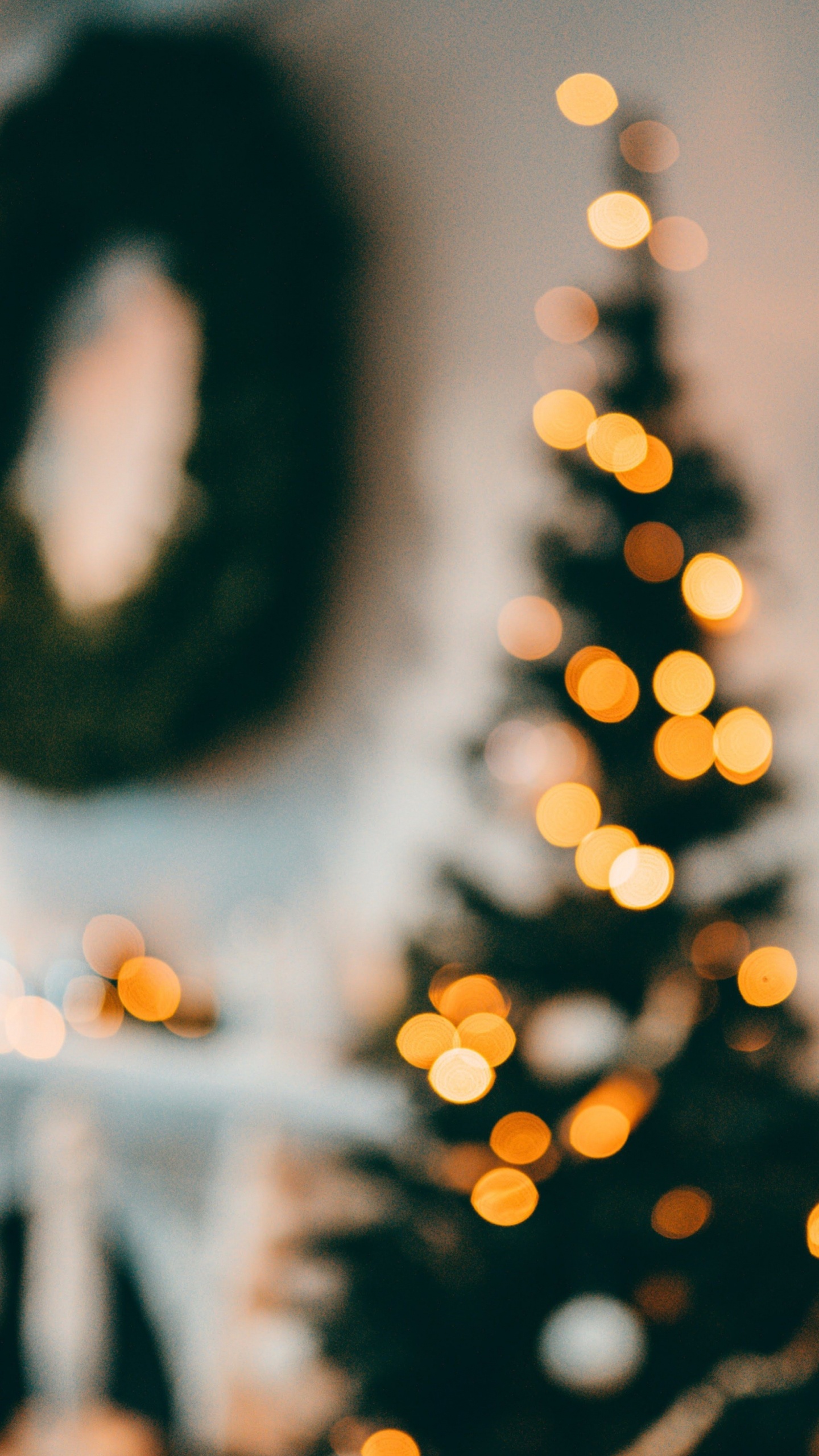 Обои Новый год, Рождество, солнечный свет, свет, растение в разрешении 1440x2560