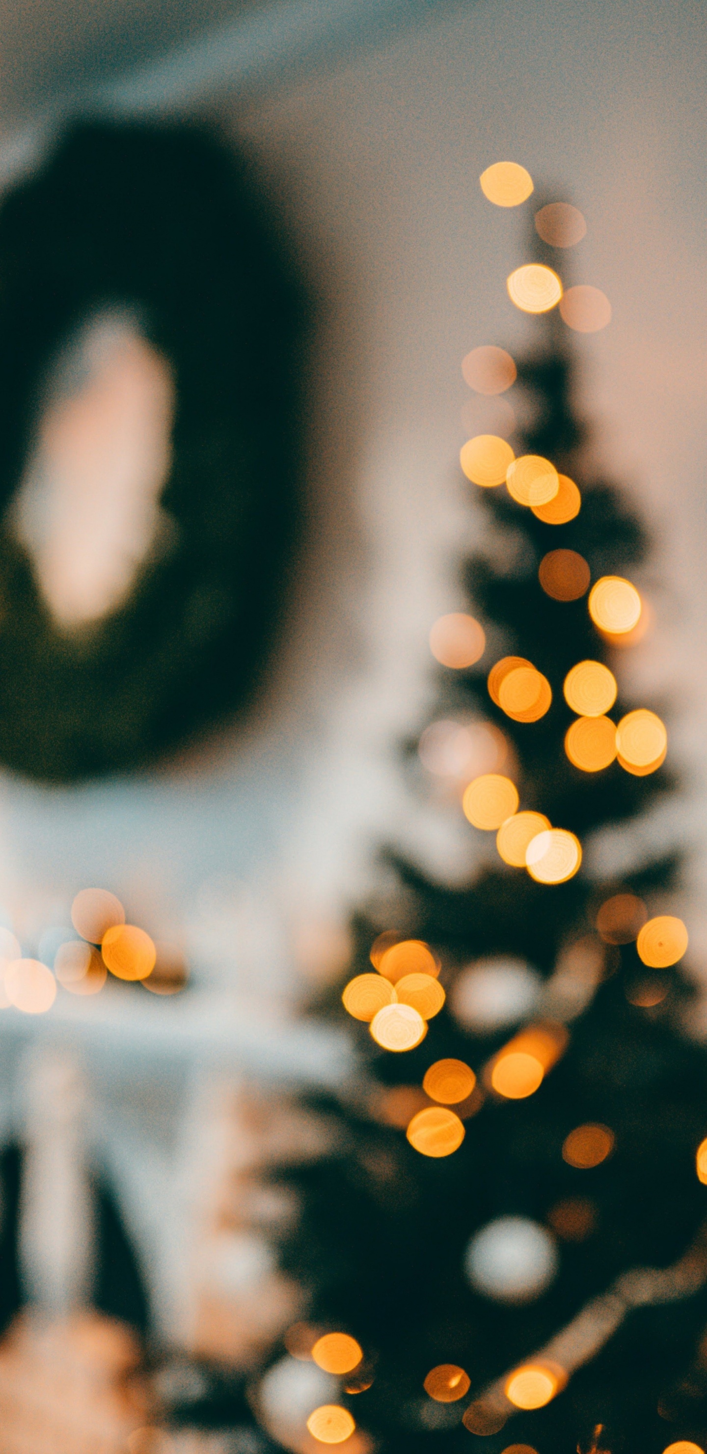 Обои Новый год, Рождество, солнечный свет, свет, растение в разрешении 1440x2960