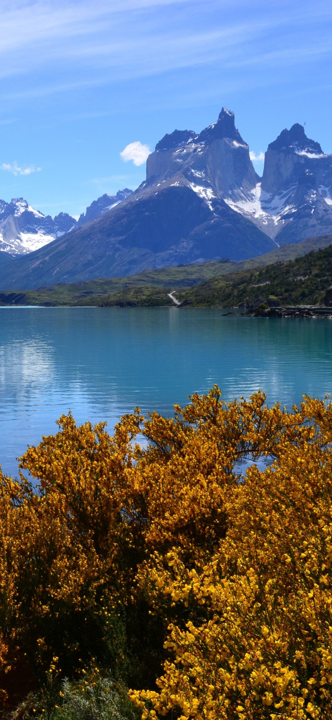 Обои Национальный парк Торрес-дель-Пайне, гора, природа, дикая местность, горный хребет в разрешении 1125x2436