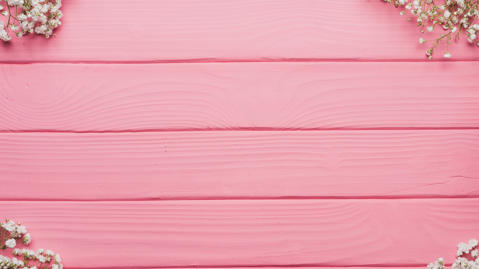 Обои цветок, розовый, пурпурный цвет, ткань, персик в разрешении 1920x1080