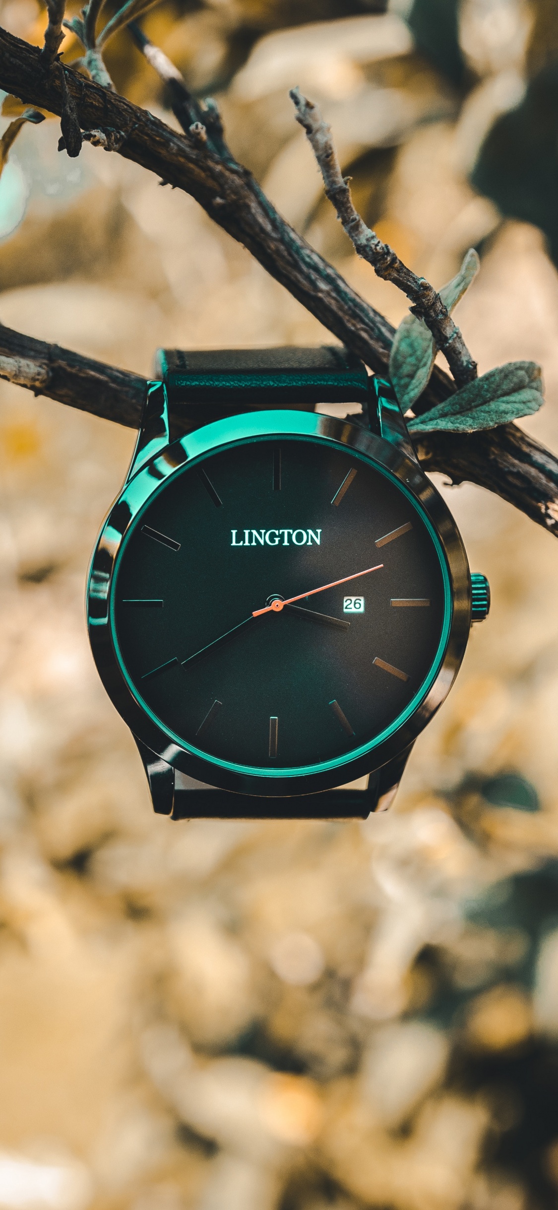 Обои часы, умные часы, аналоговые часы, ремень, зеленый в разрешении 1125x2436