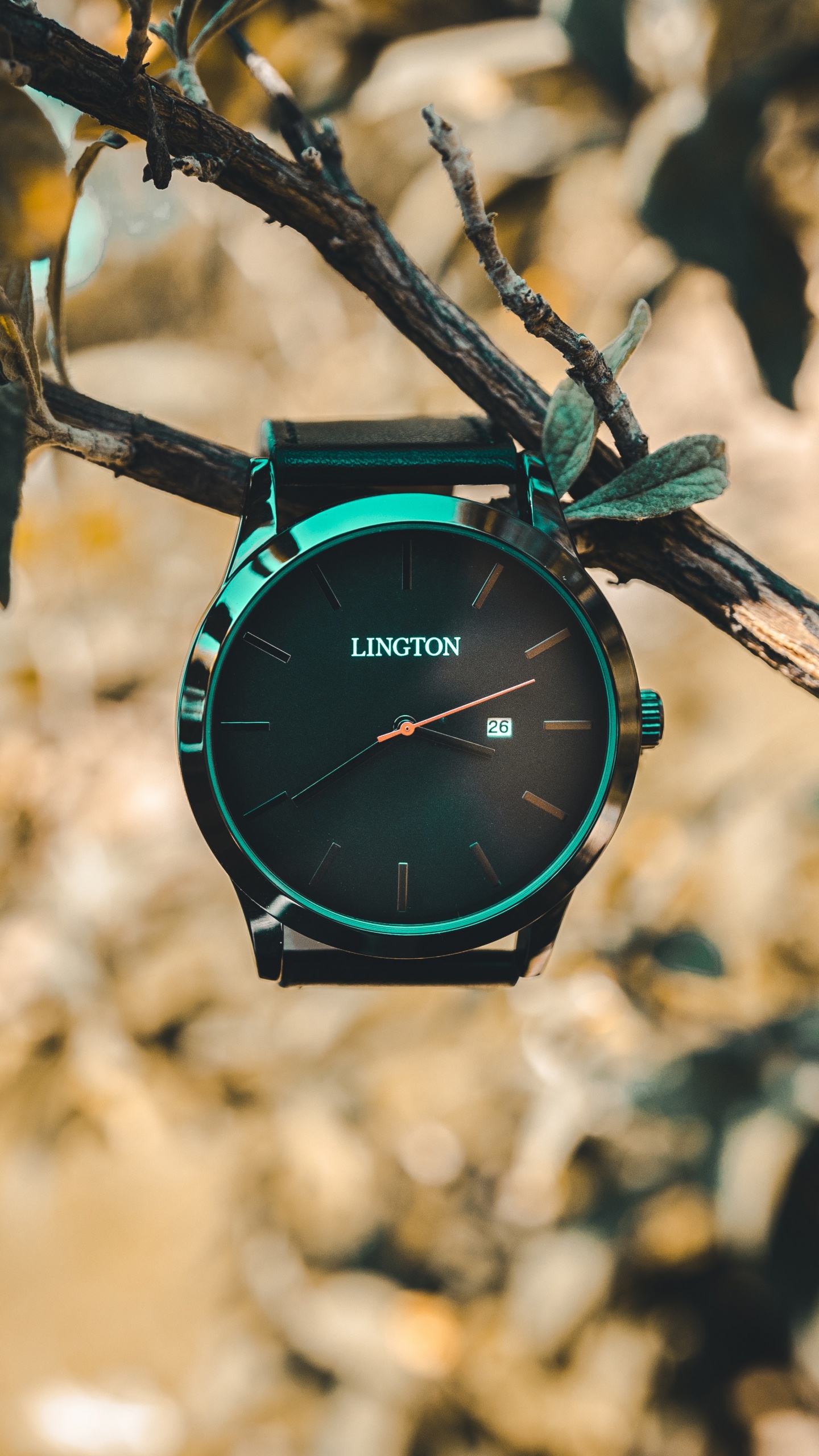 Обои часы, умные часы, аналоговые часы, ремень, зеленый в разрешении 1440x2560