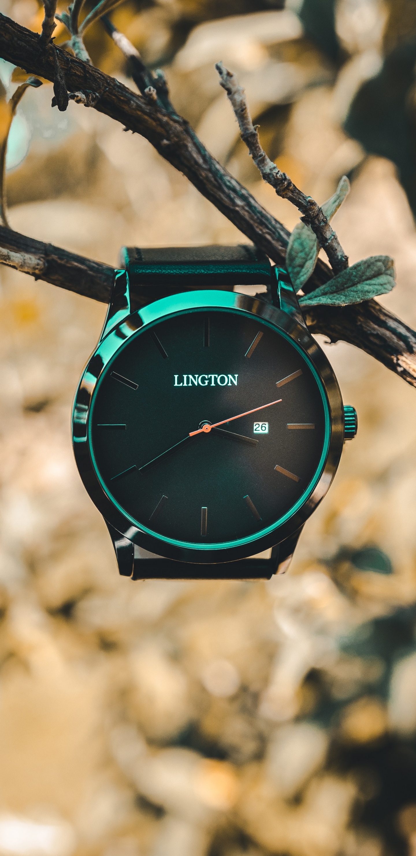 Обои часы, умные часы, аналоговые часы, ремень, зеленый в разрешении 1440x2960