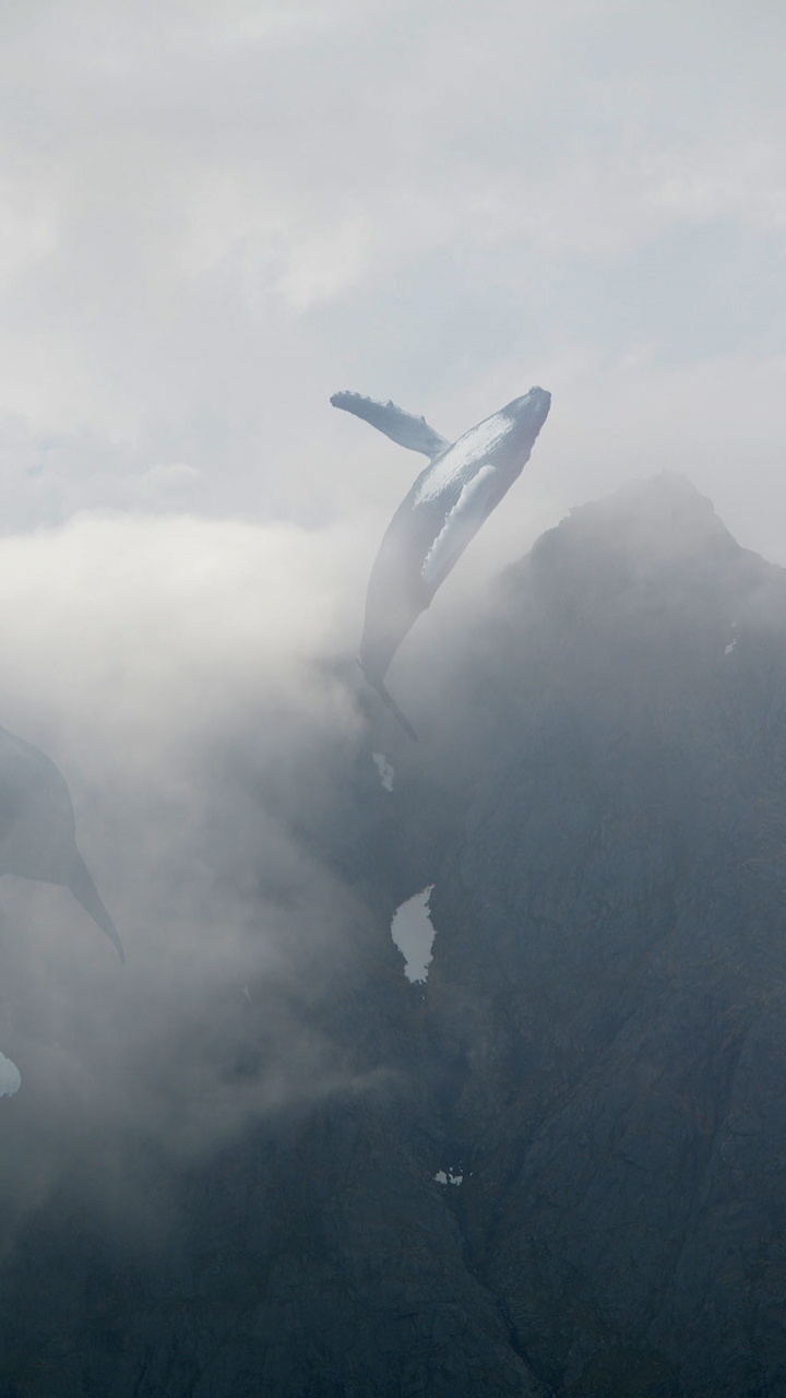 Обои облако, атмосфера, гора, горный хребет, туман в разрешении 720x1280