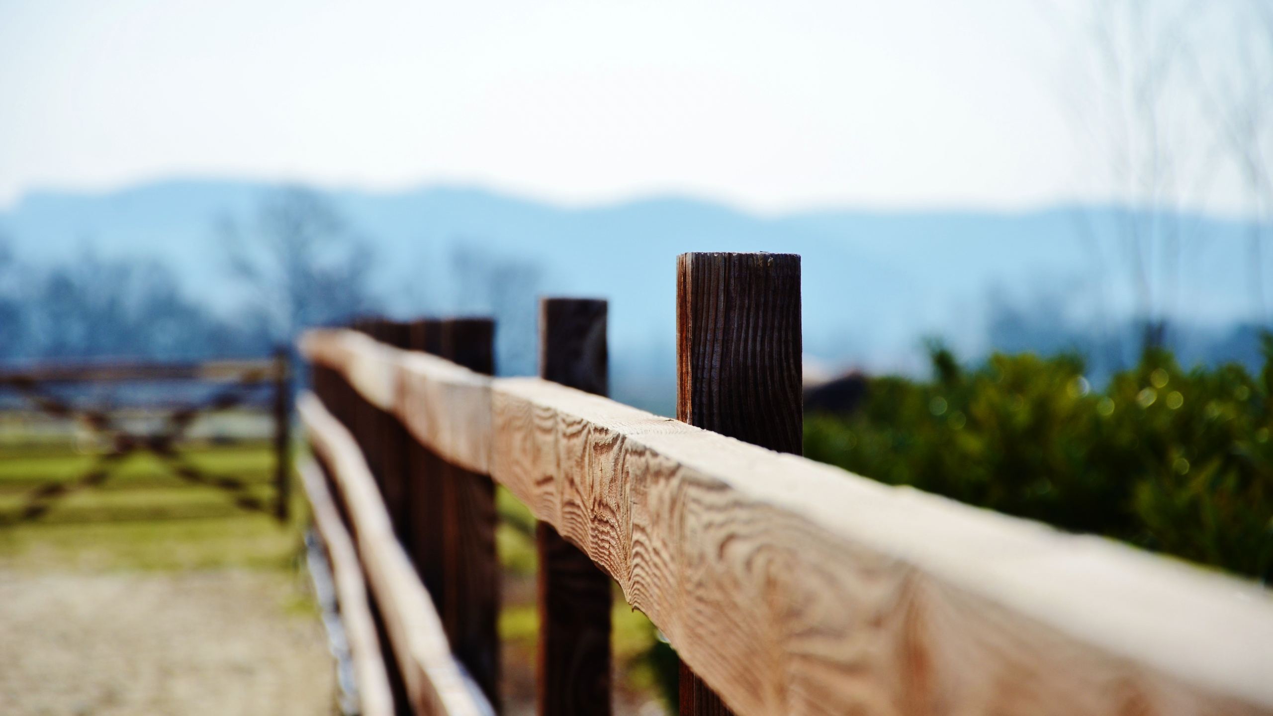 Обои забор, древесина, дерево, пейзаж, мебель в разрешении 2560x1440