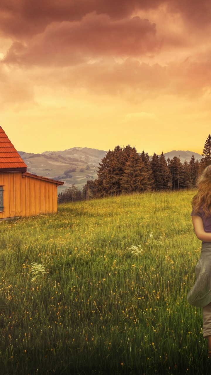 Обои сенокосное угодье, закат, облако, растение, экорегион в разрешении 720x1280