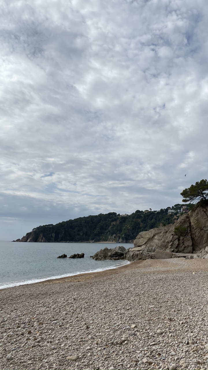 Обои побережье, вода, берег, облако, Банк в разрешении 720x1280