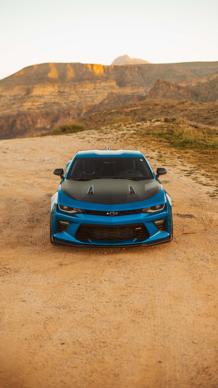 Обои Шевроле камаро, авто, спорткар, капюшон, пейзаж в разрешении 750x1334