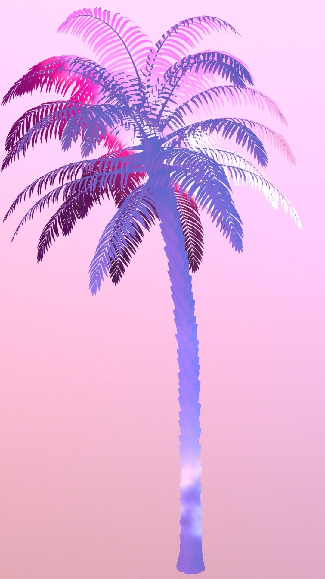 Обои Пальма, пальмовые рощи, дерево, пурпур, розовый в разрешении 1080x1920