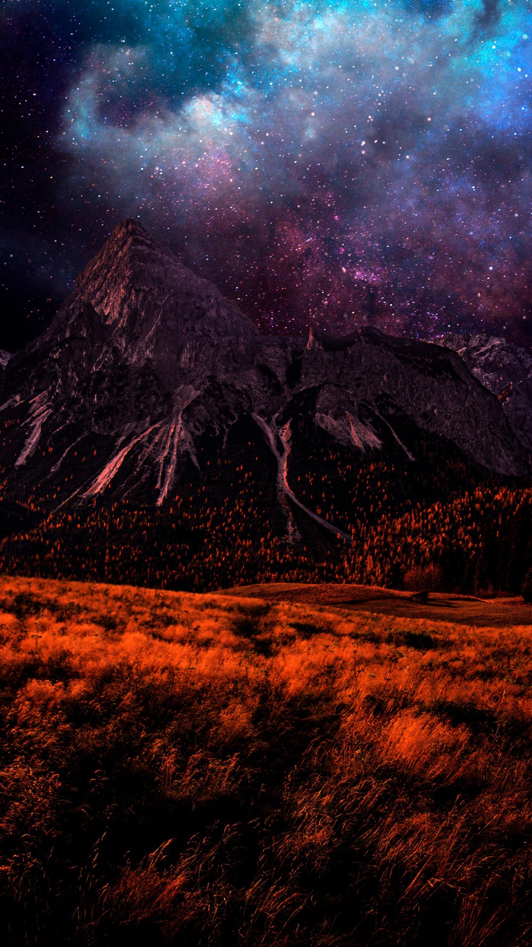 Обои земля, растение, атмосфера, экорегион, природный ландшафт в разрешении 1080x1920