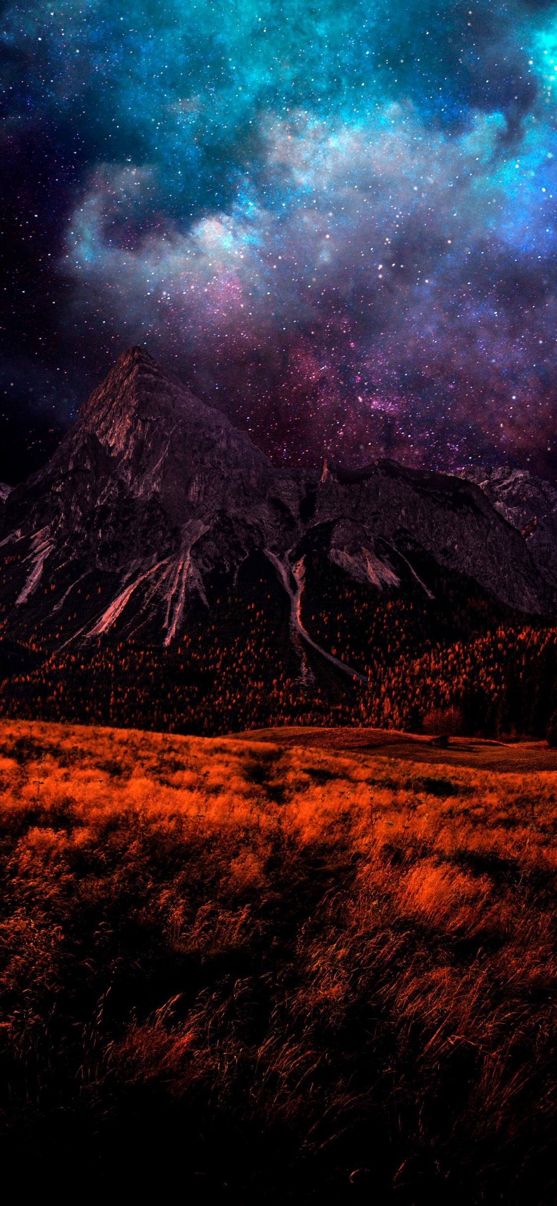 Обои земля, растение, атмосфера, экорегион, природный ландшафт в разрешении 1125x2436