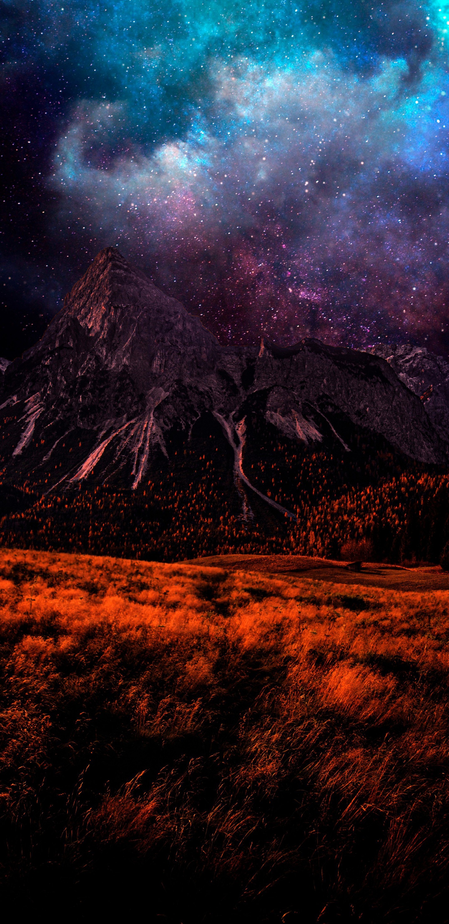 Обои земля, растение, атмосфера, экорегион, природный ландшафт в разрешении 1440x2960