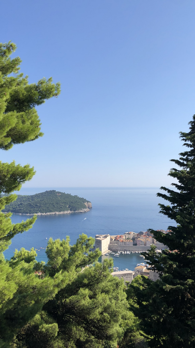 Обои пейзажи гор, фьорд, вода, дерево, лазурный в разрешении 750x1334