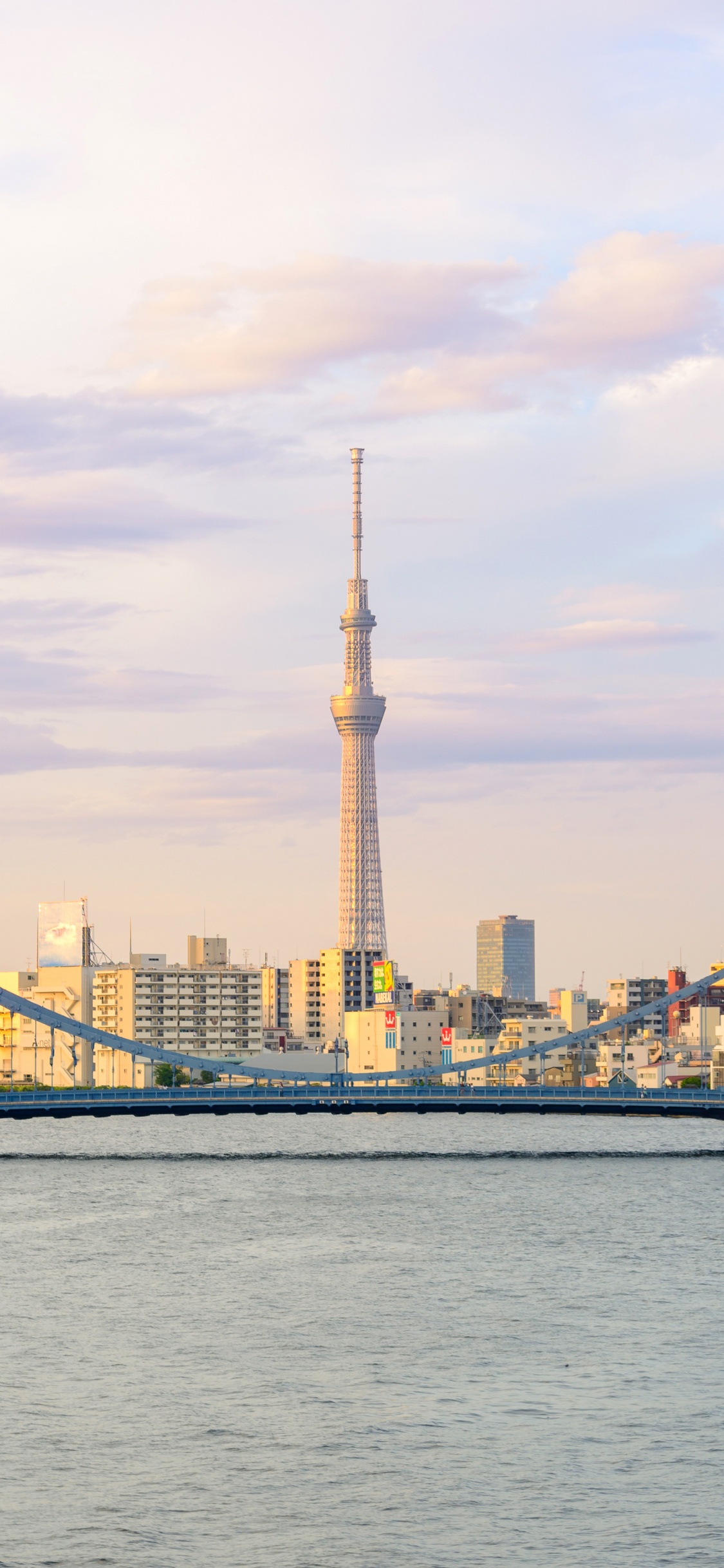 Обои Токио Skytree, токийская башня, город, линия горизонта, городской пейзаж в разрешении 1125x2436
