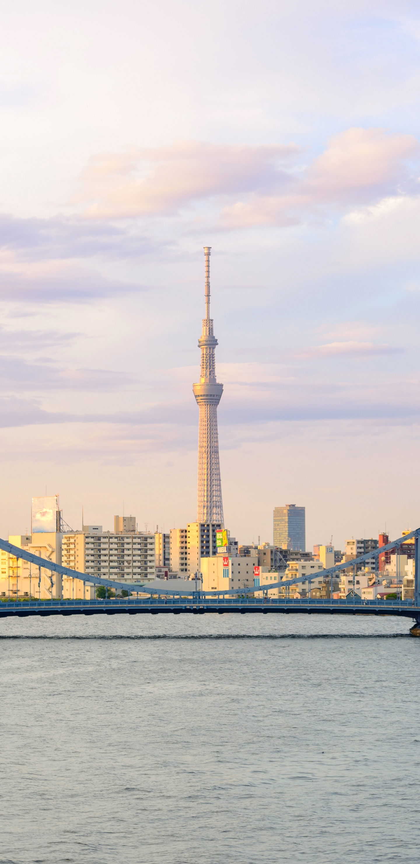 Обои Токио Skytree, токийская башня, город, линия горизонта, городской пейзаж в разрешении 1440x2960