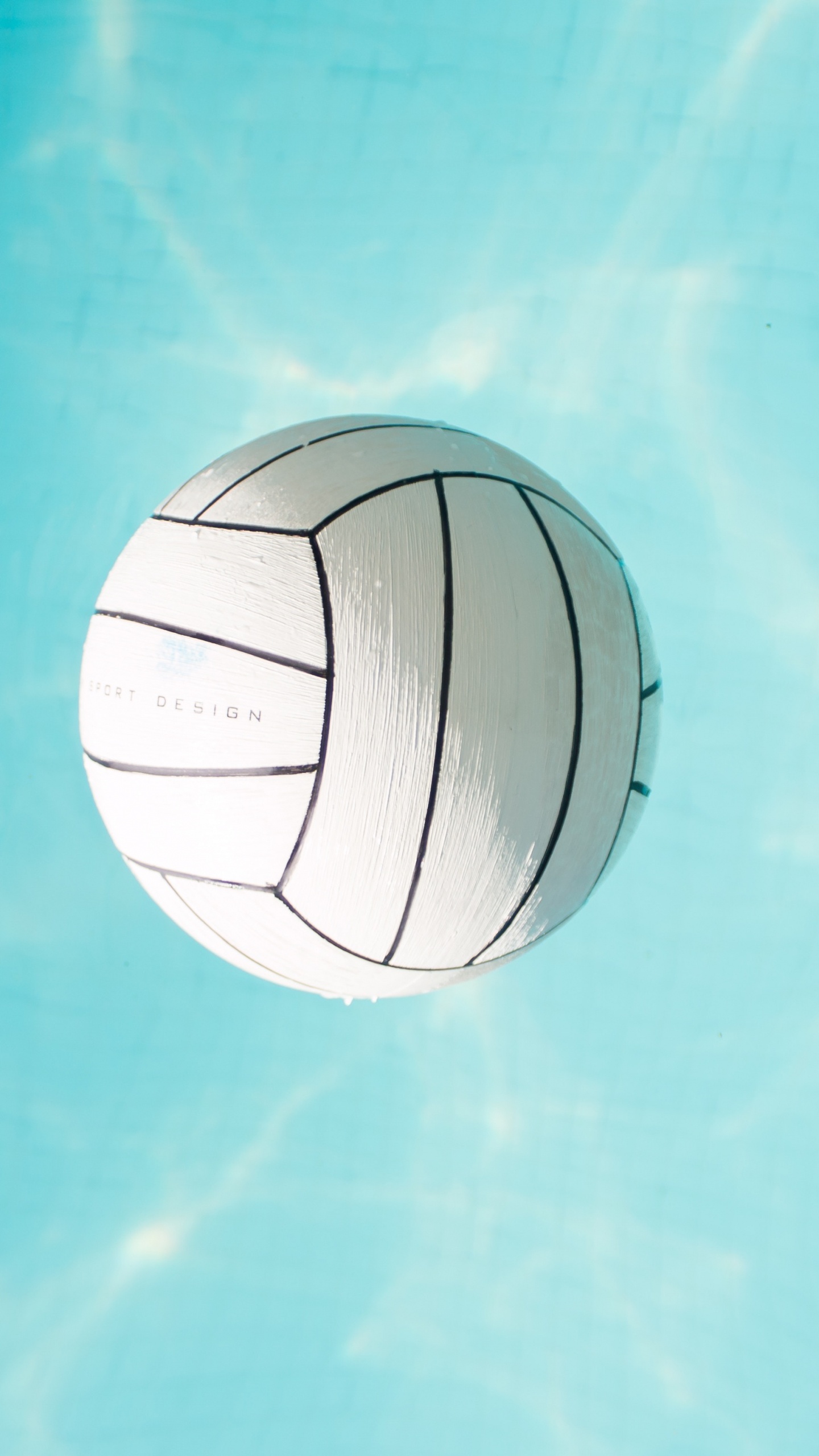 Обои волейбол, Водный волейбол, тренер, мяч, футбольный мяч в разрешении 1440x2560