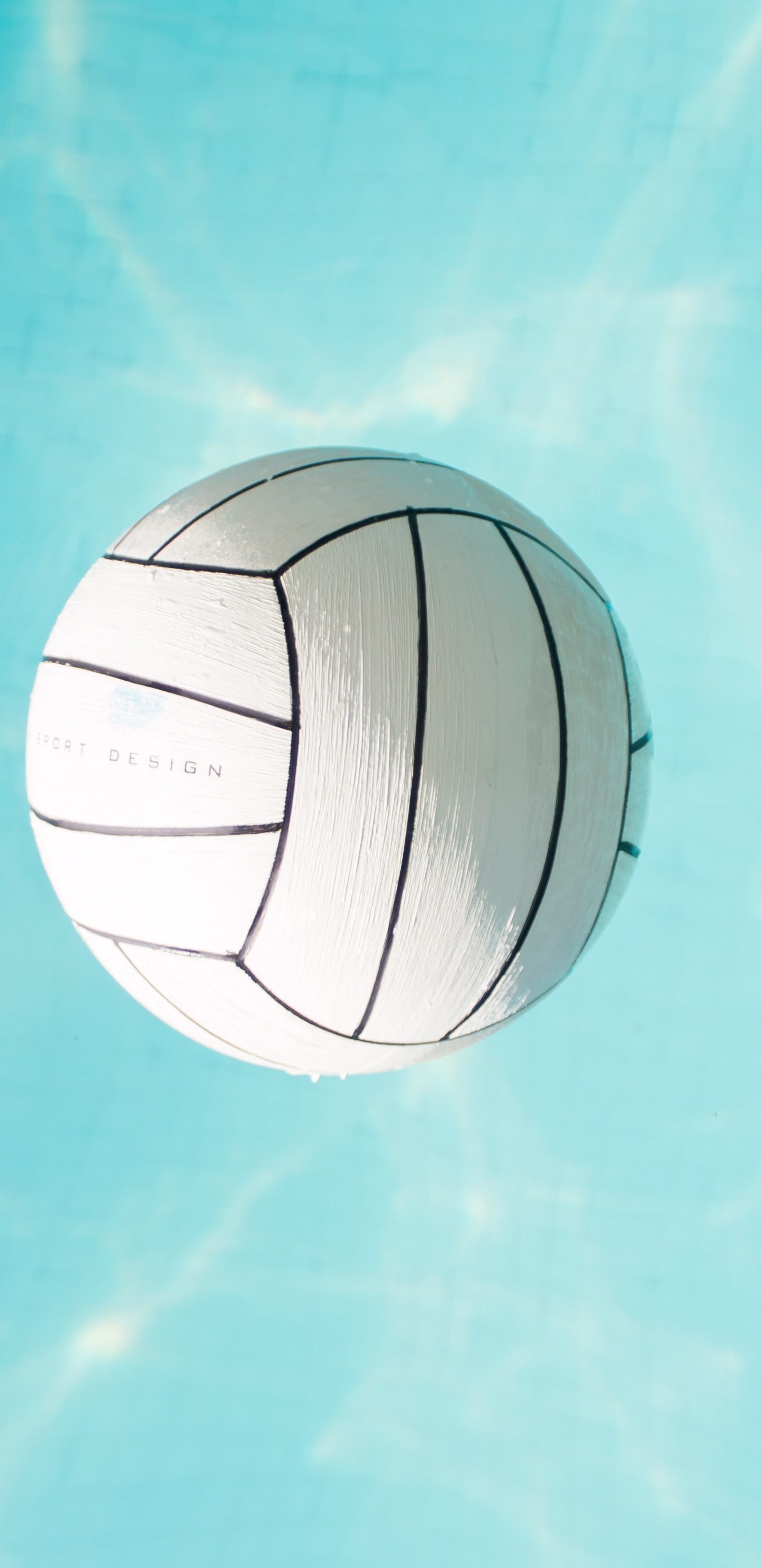 Обои волейбол, Водный волейбол, тренер, мяч, футбольный мяч в разрешении 1440x2960