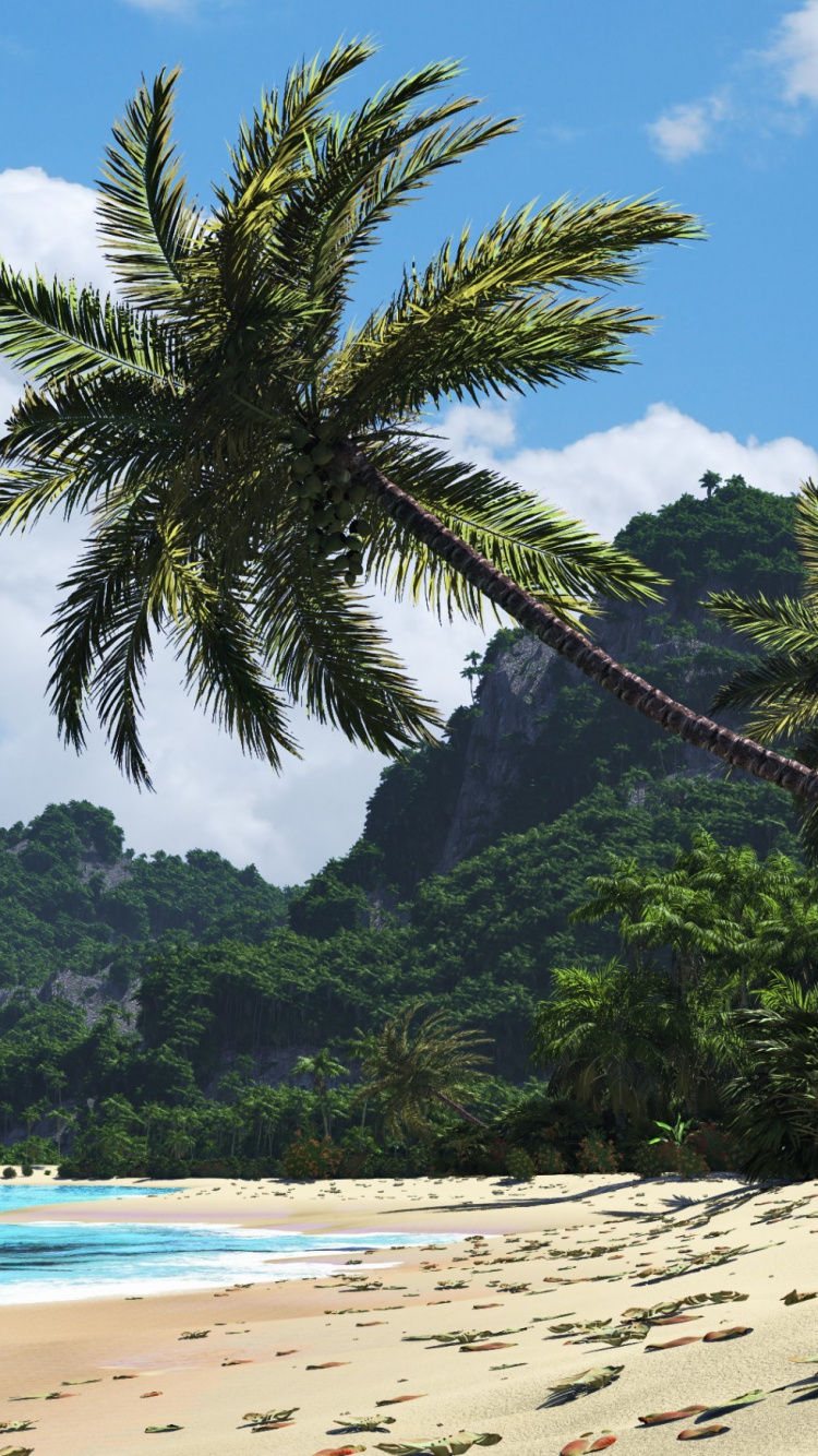 Обои тропическая зона, дерево, Пальма, пляж, берег в разрешении 750x1334