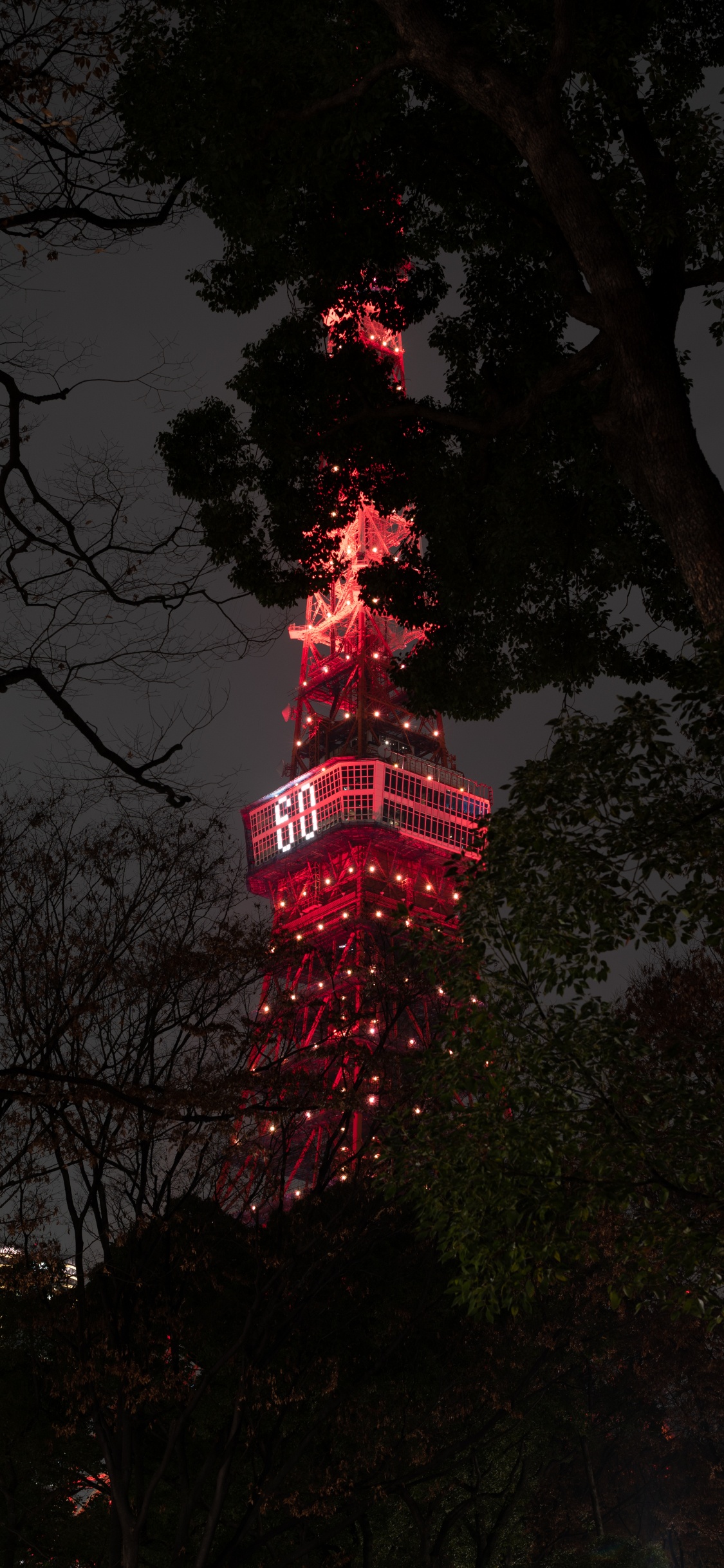 Обои токийская башня, вышка, красный цвет, дерево, темнота в разрешении 1125x2436