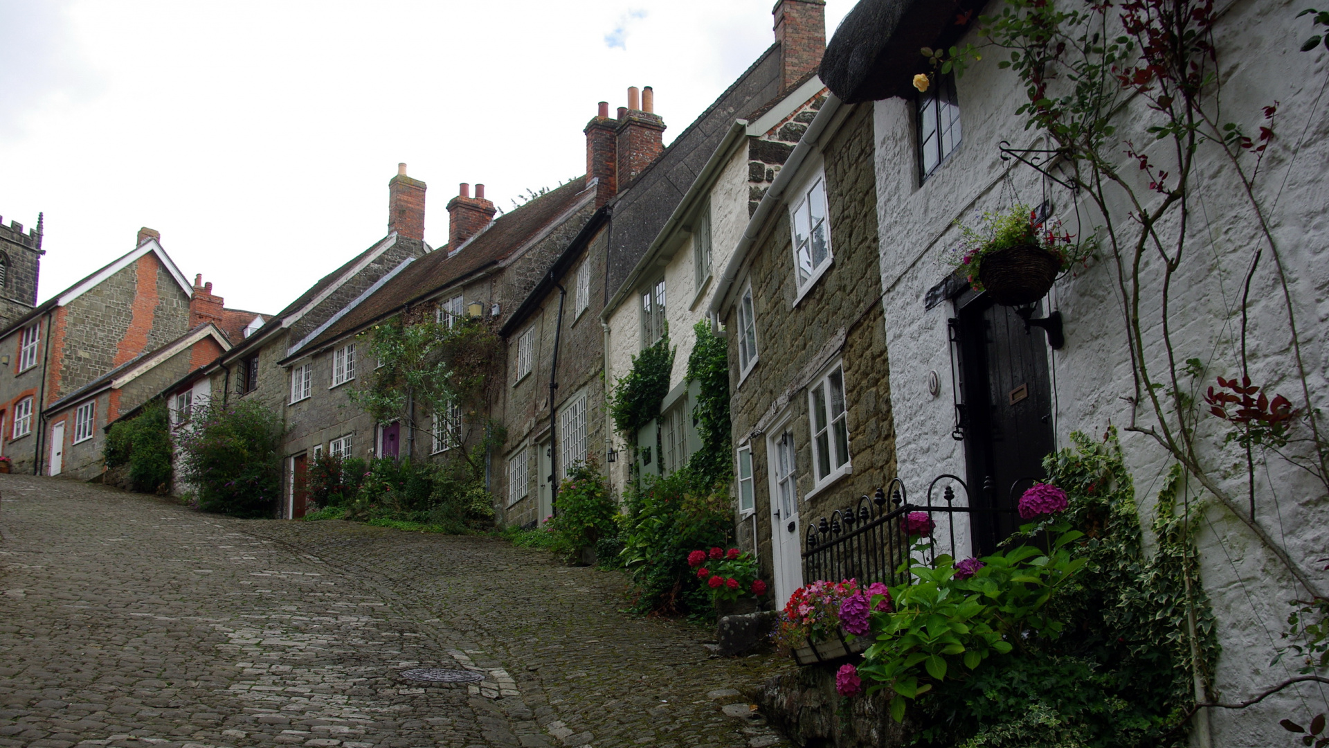 Обои Голд-Хилл, цветок, свойство, Хаус, городок в разрешении 1920x1080