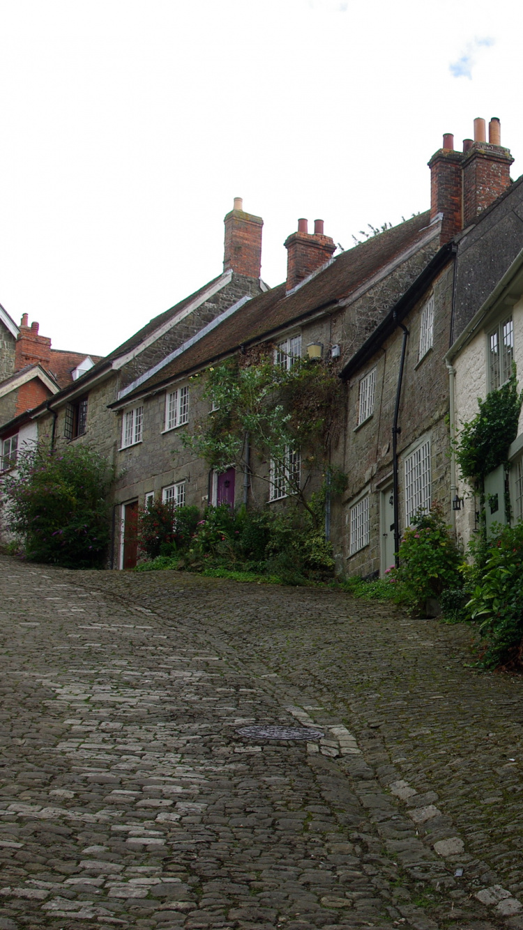 Обои Голд-Хилл, цветок, свойство, Хаус, городок в разрешении 750x1334