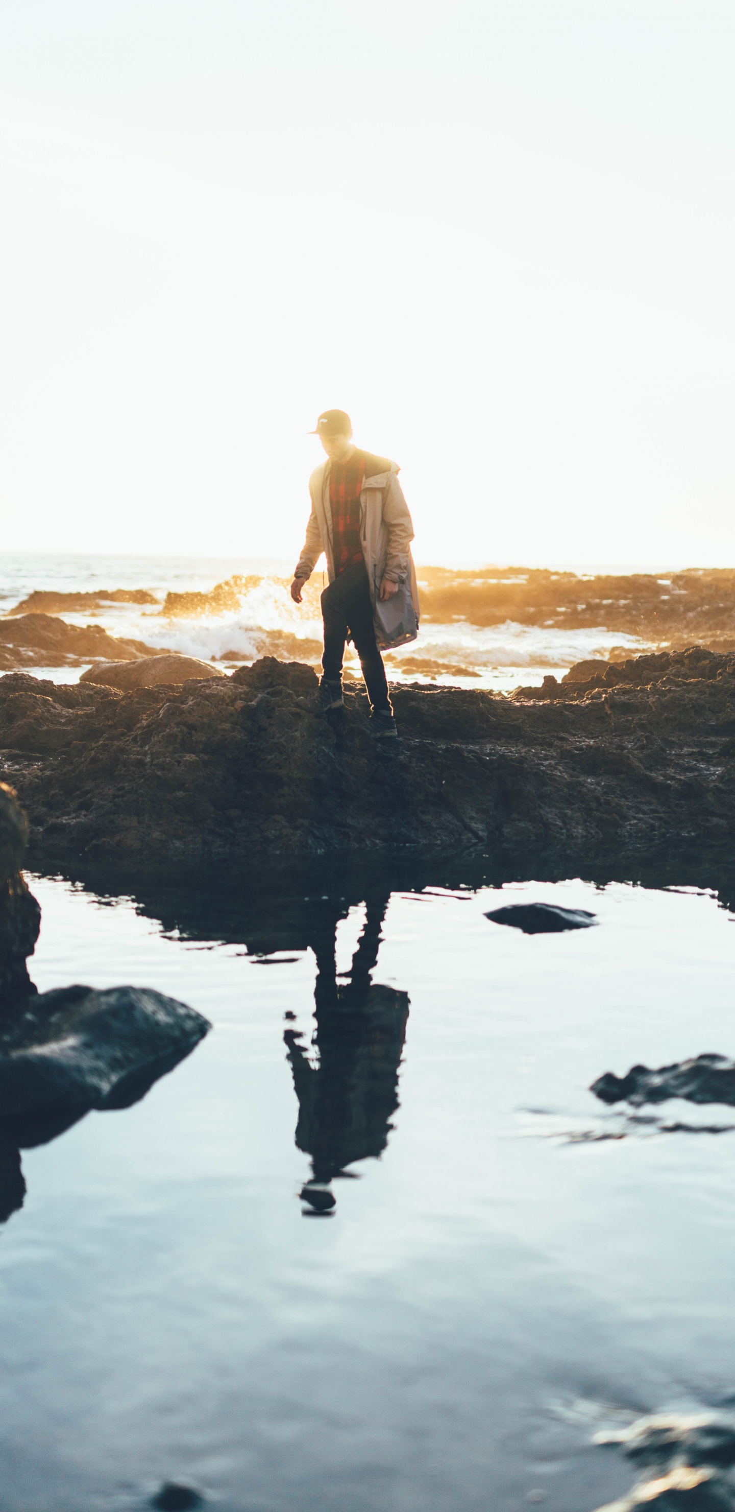 Обои Бассейн с волнами, океан, рок, дерево, вода в разрешении 1440x2960