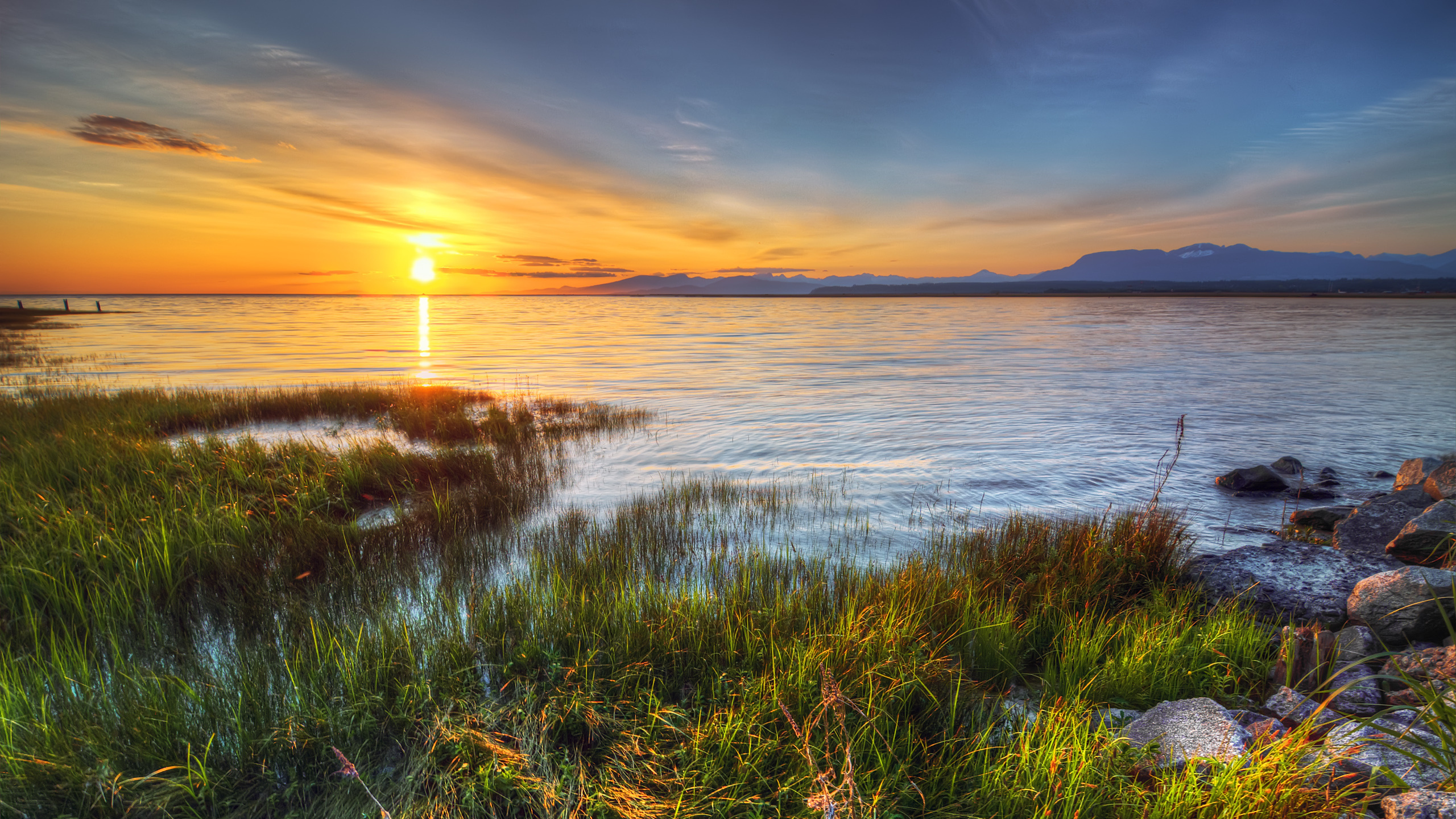 Обои берег, горизонт, море, болото, небо в разрешении 2560x1440