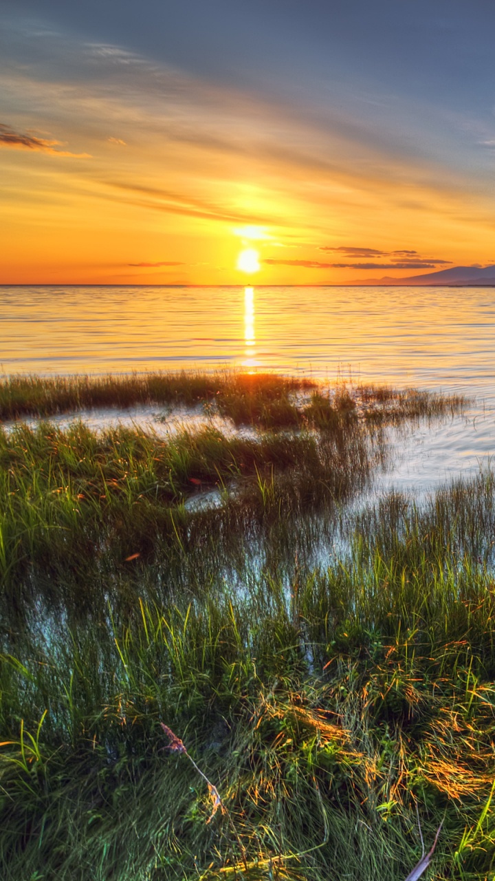 Обои берег, горизонт, море, болото, небо в разрешении 720x1280