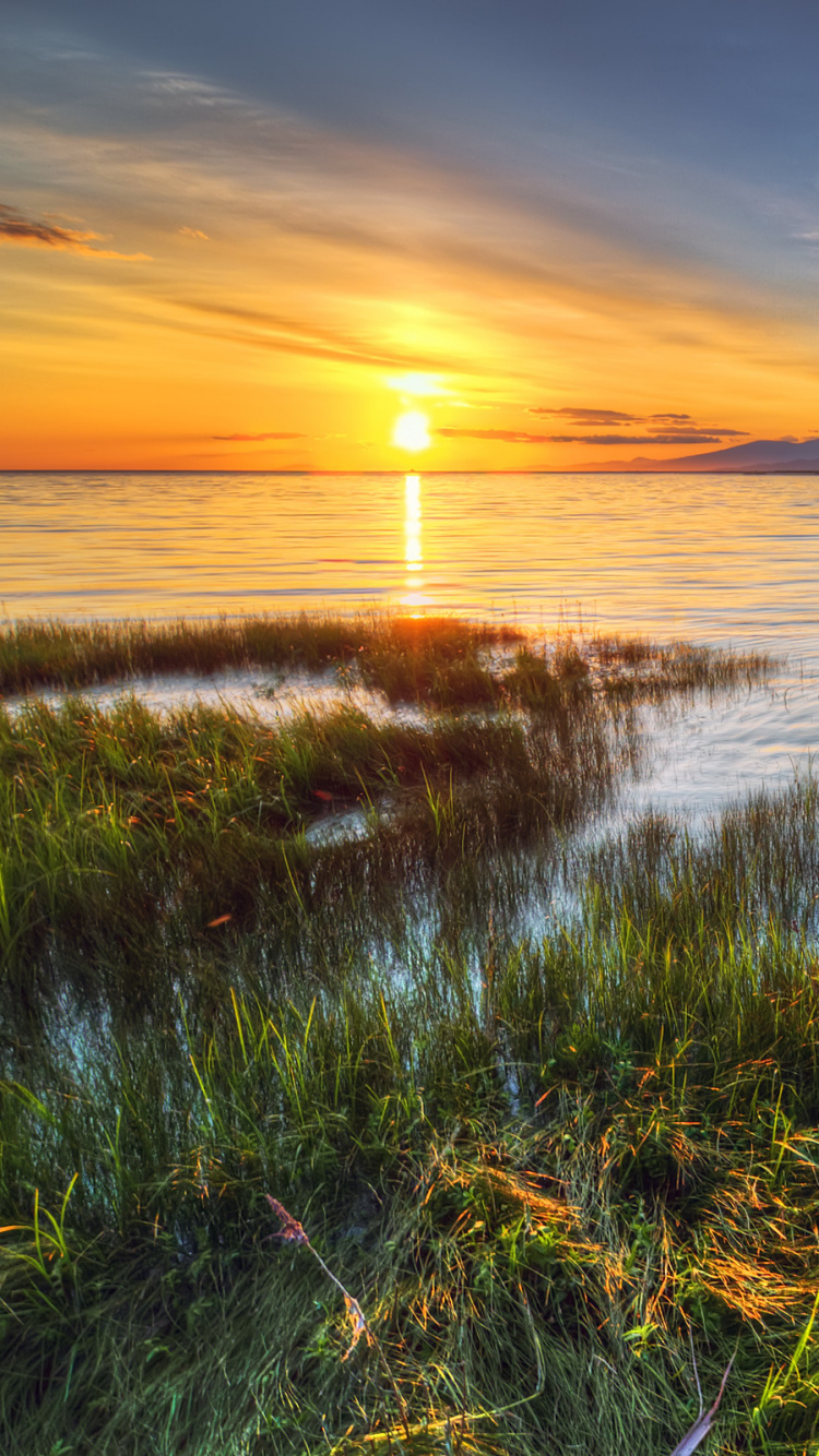 Обои берег, горизонт, море, болото, небо в разрешении 750x1334