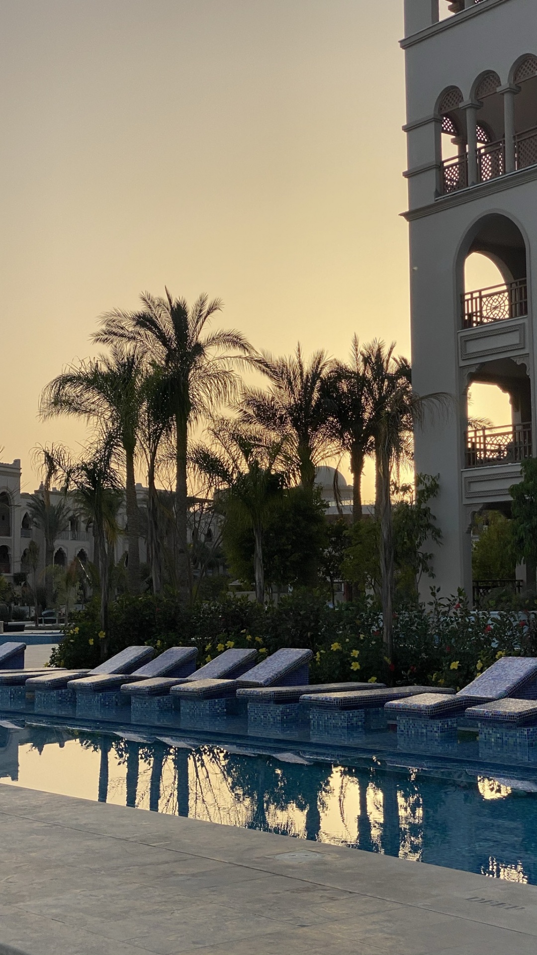 Обои отражение, плавательный бассейн, пальмовые рощи, недвижимость, вода в разрешении 1080x1920