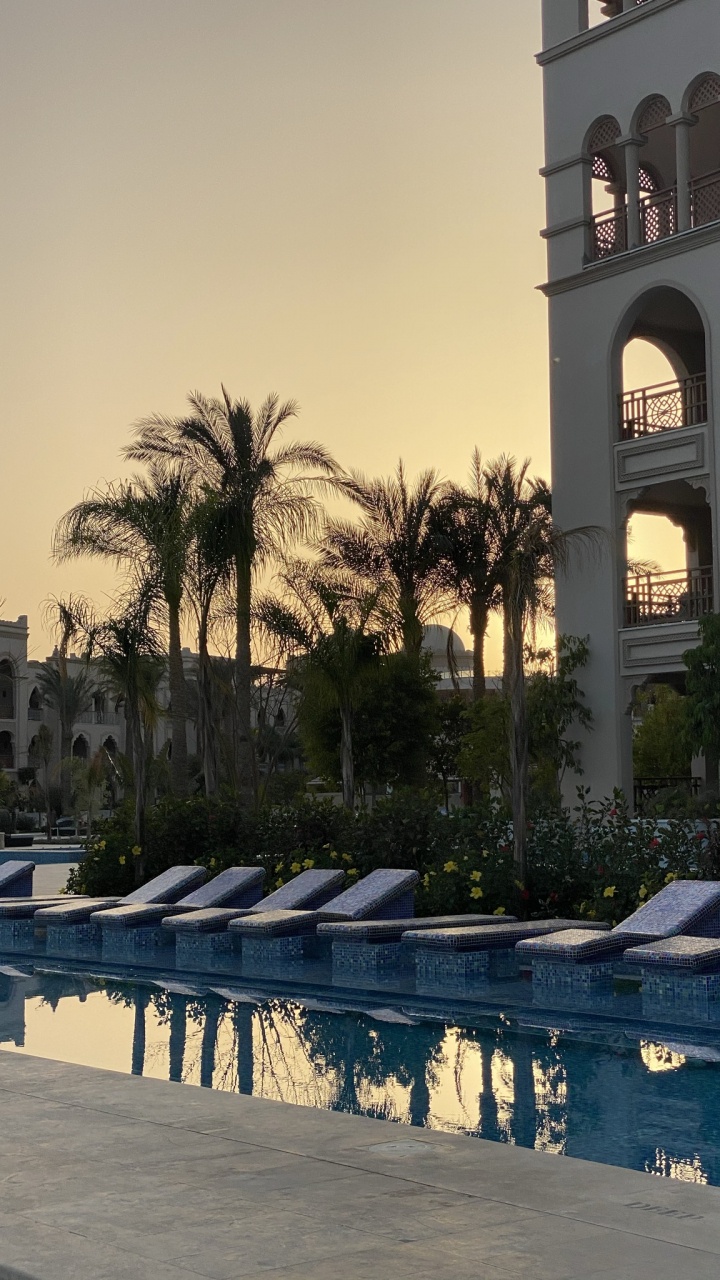 Обои отражение, плавательный бассейн, пальмовые рощи, недвижимость, вода в разрешении 720x1280