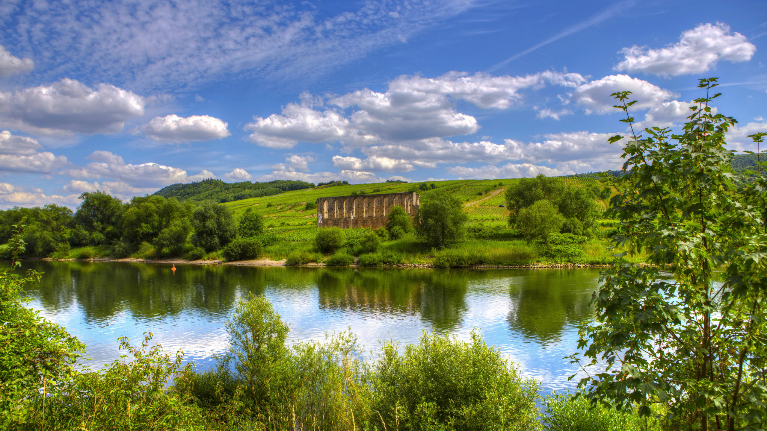 Обои отражение, пейзажная живопись, лето, природа, вода в разрешении 2560x1440