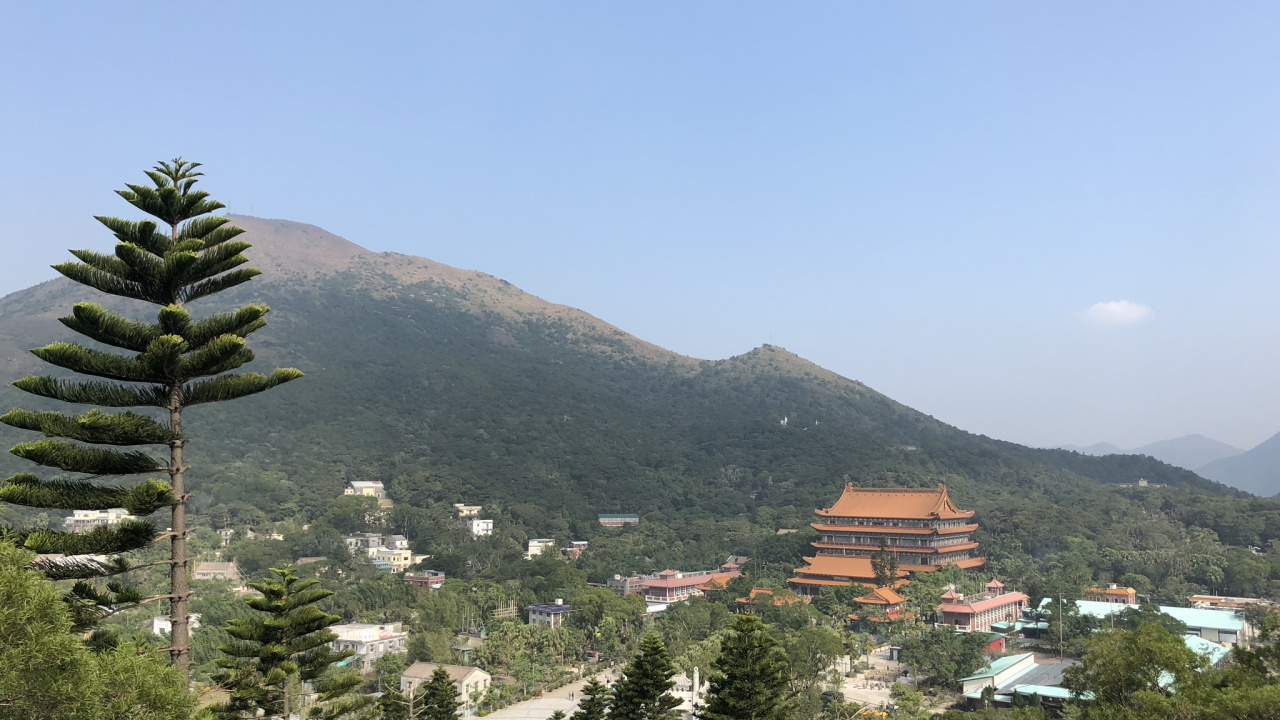 Обои растительность, горный рельеф, холм, дерево, горный хребет в разрешении 1280x720