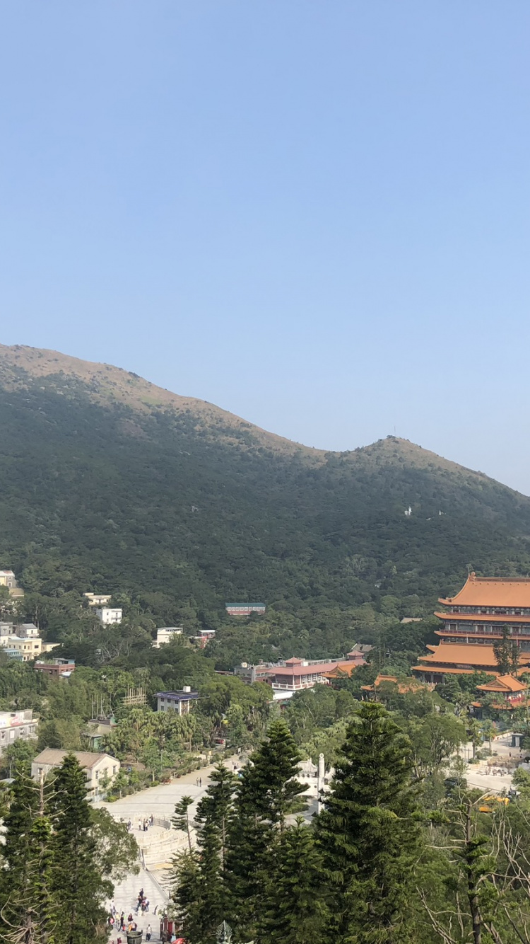 Обои растительность, горный рельеф, холм, дерево, горный хребет в разрешении 750x1334