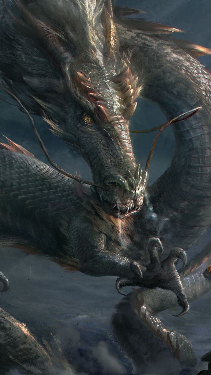 Обои дракон, китайский дракон, арт, вьетнамский дракон, Килин в разрешении 720x1280