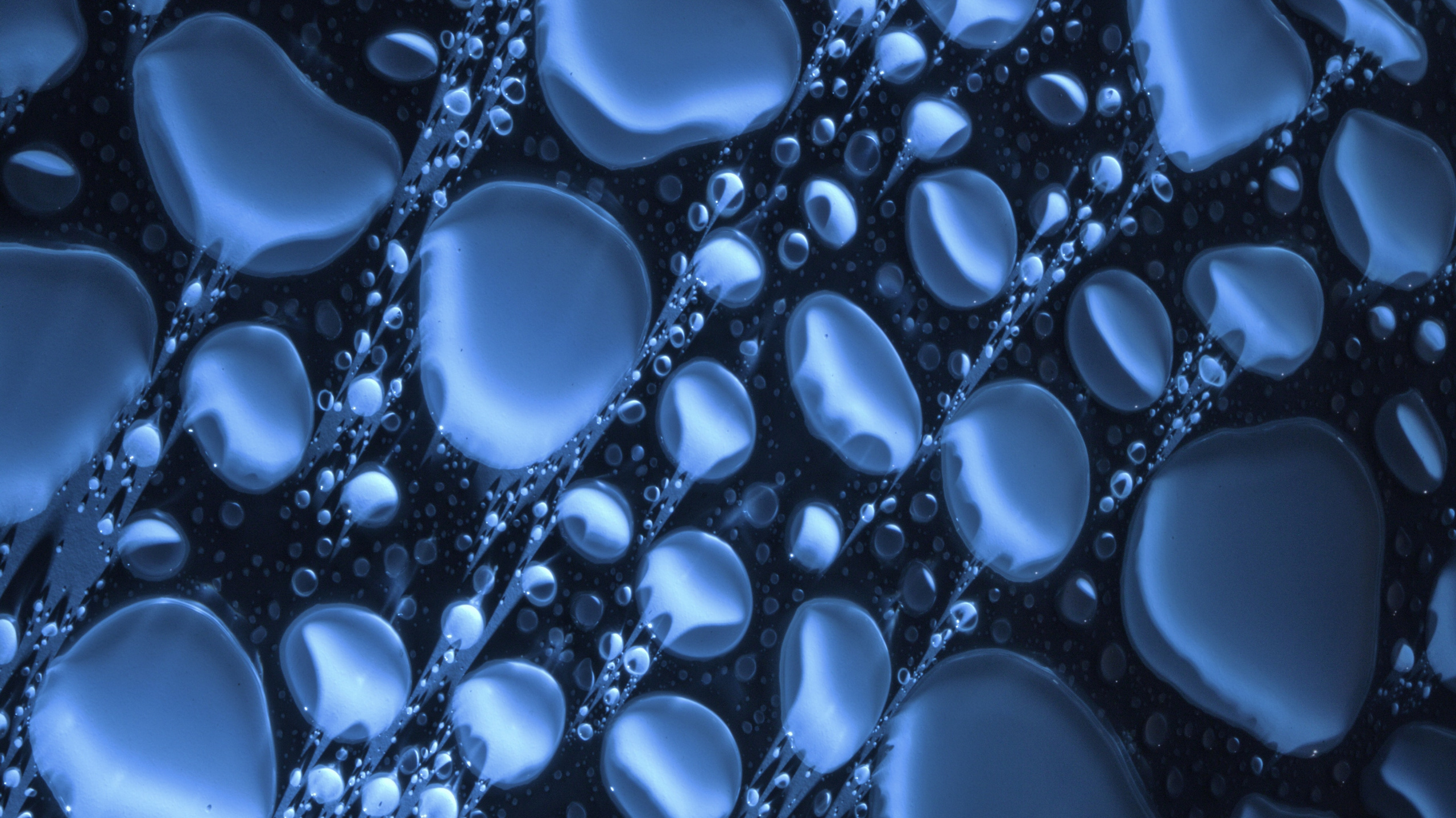 Обои альбомная музыка, вода, жидкий, лазурный, природа в разрешении 2560x1440