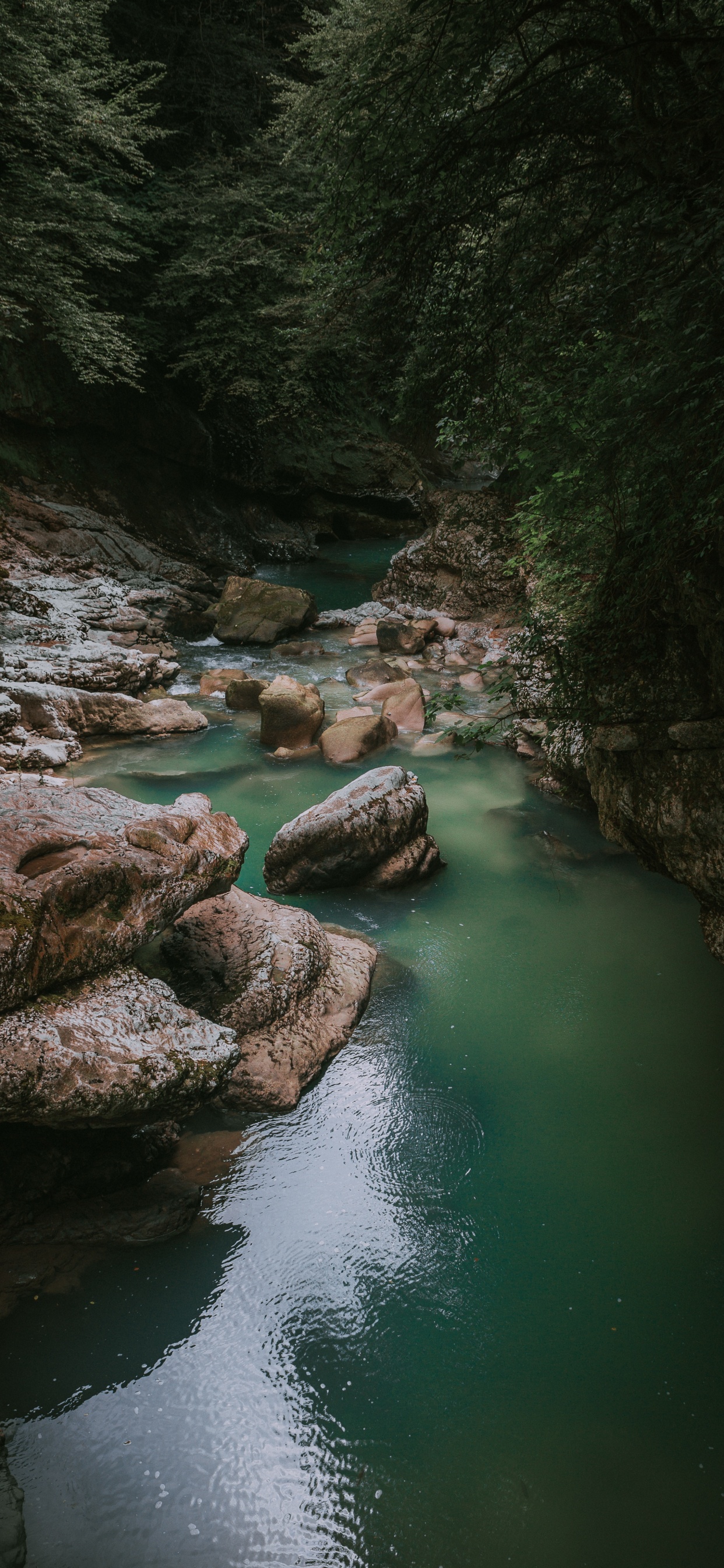 Обои реки, водоем, природа, гидроресурсы, поток в разрешении 1242x2688