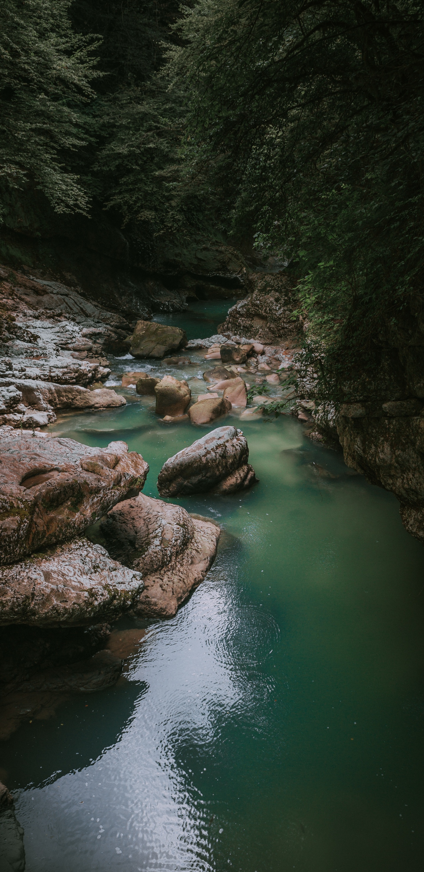 Обои реки, водоем, природа, гидроресурсы, поток в разрешении 1440x2960