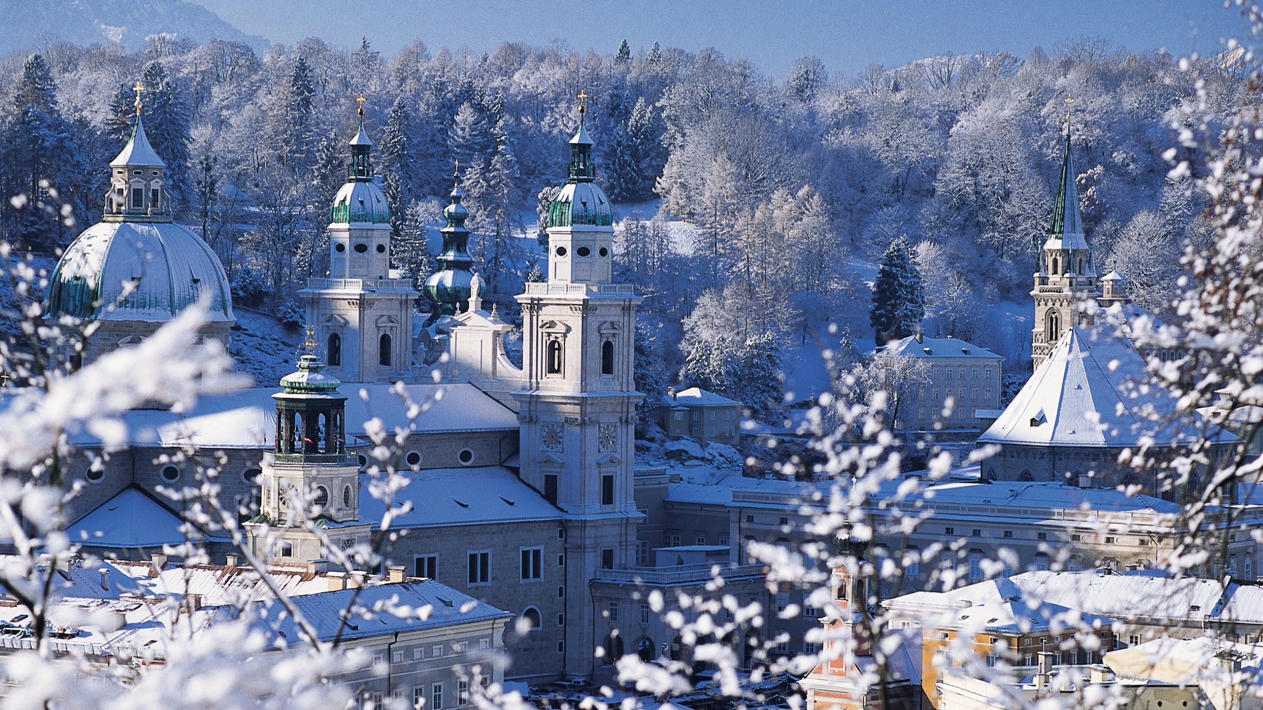 Обои зима, снег, замораживание, городок, дерево в разрешении 2560x1440