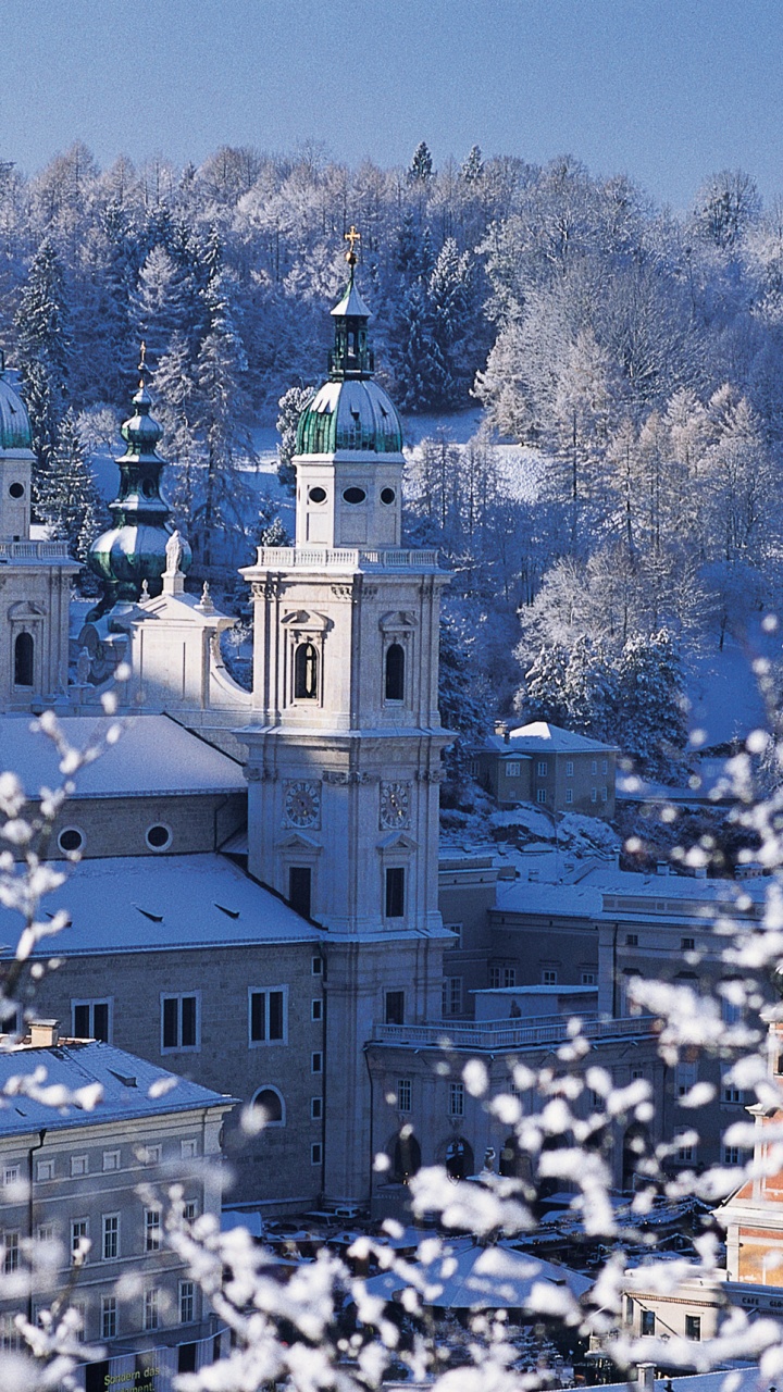 Обои зима, снег, замораживание, городок, дерево в разрешении 720x1280