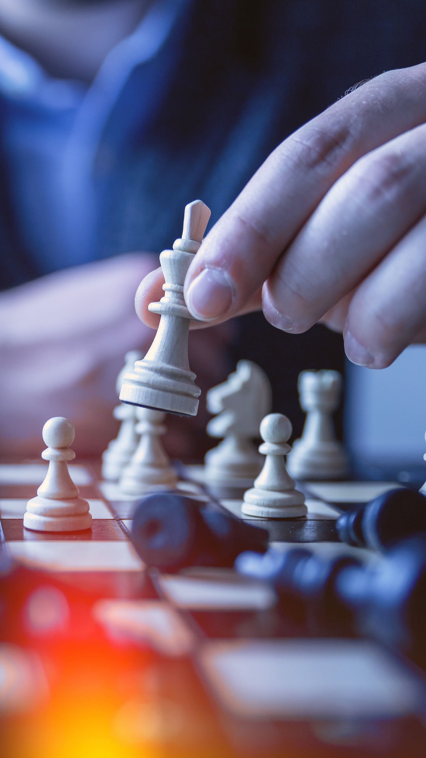 Обои шахматы, игры, шахматная доска, игры в помещении и спорта, отдых в разрешении 1440x2560