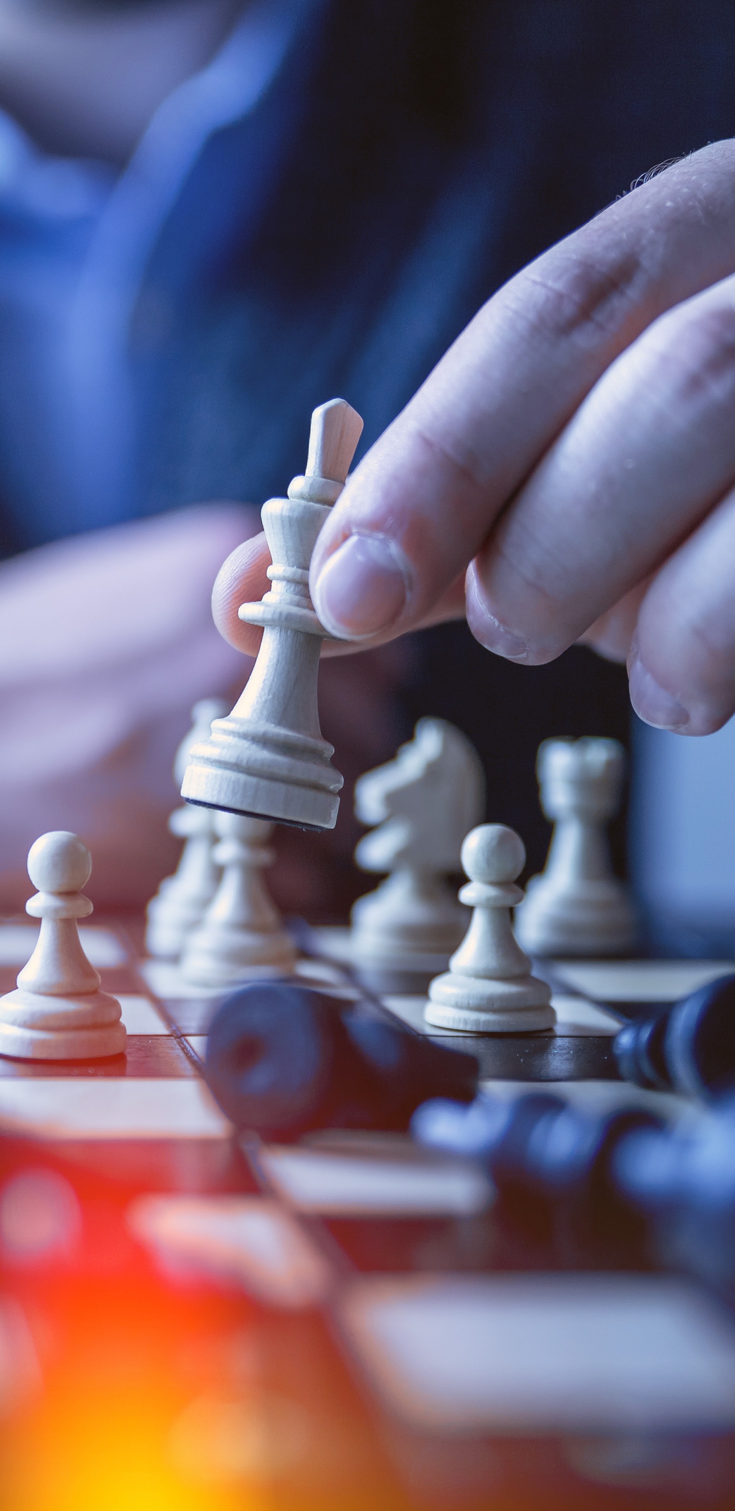 Обои шахматы, игры, шахматная доска, игры в помещении и спорта, отдых в разрешении 1440x2960